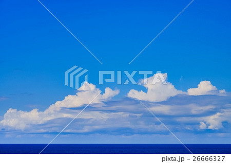 船旅 (55) 26666327