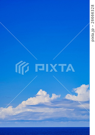 船旅 (56) 26666328