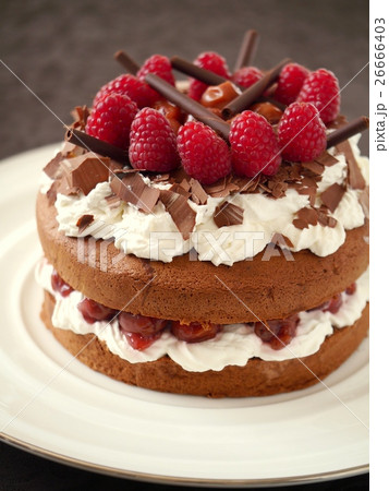 フォレノワール 粉糖なし フォレノワール 粉糖なし 26666403