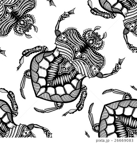 hand drawn zentangle stylized beetle hand drawn zentangle stylized beetle 26669083