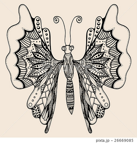 Amazing wonderland fly butterfly 26669085