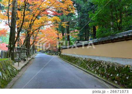 紅葉の佛通寺参道 26671073