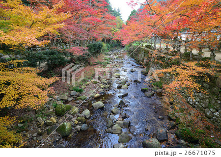 佛通寺川の紅葉 佛通寺川の紅葉 26671075