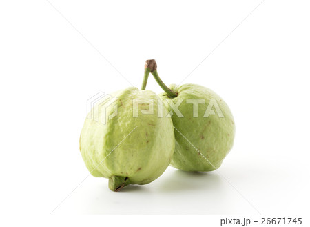 guava 26671745