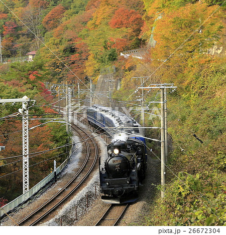 紅葉の上越線SL 26672304