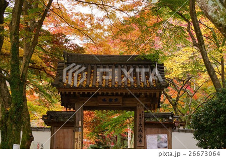 牛滝山の紅葉 26673064