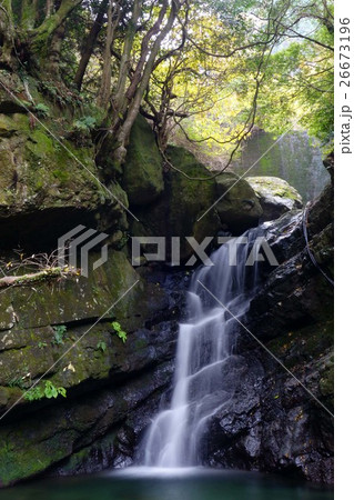 牛滝山の滝 26673196