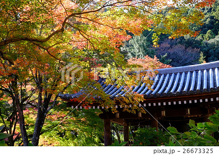 久安寺の紅葉 久安寺の紅葉 26673325
