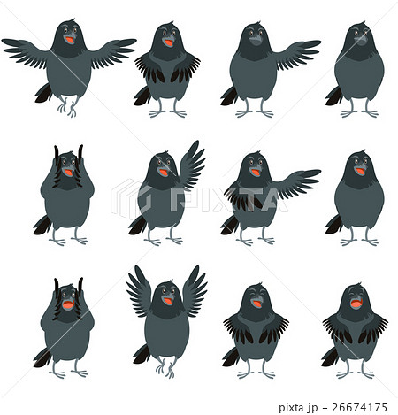 Flat Icons Of Ravens Setのイラスト素材