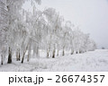 Trees in snow 26674357