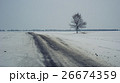 Road and lonely tree in gloomy winter 26674359