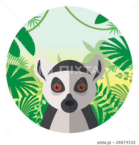 Lemur on the Jungle Background 26674533