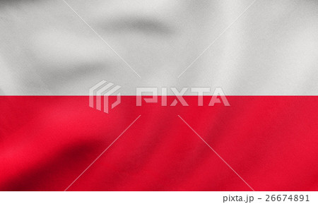 Flag of Poland waving, real fabric texture 26674891