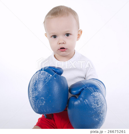 photo of cute little boxer on white 26675261