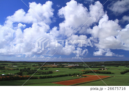 南大東島の風景 南大東島の風景 26675716
