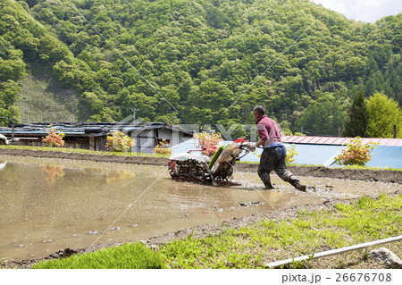 田植えをする男性 26676708