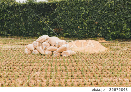 farming farming 26676848