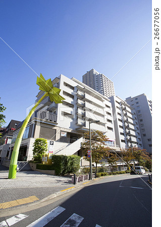 代官山の風景　八幡通り 26677056