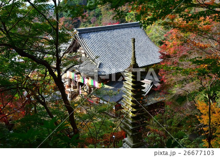 奈良、岡寺本堂 26677103