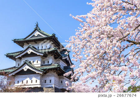 弘前公園の桜 26677674