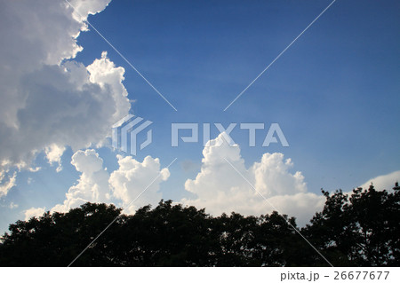 空 空 26677677