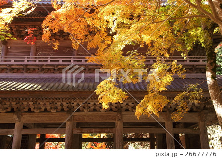 永源寺の紅葉と山門 26677776