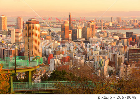 夕日に染まるヴィーナスブリッジと神戸市街 26678048