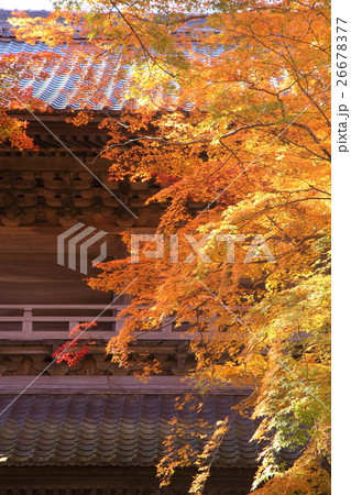 永源寺の紅葉と山門 永源寺の紅葉と山門 26678377