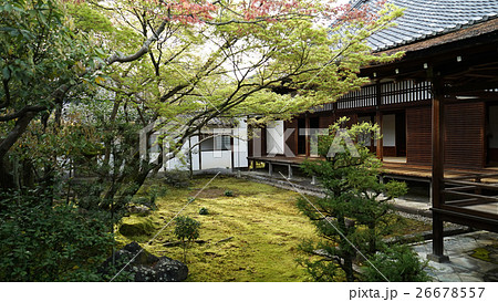 京都 京都市 京都府 26678557
