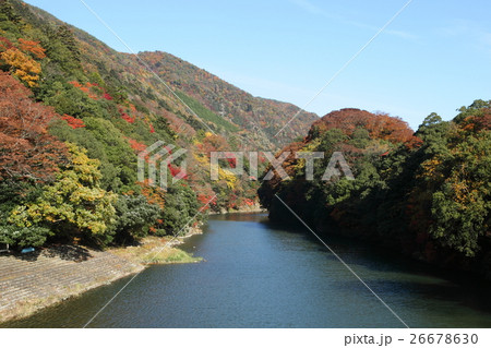 永源寺近くの音無川と飯高山の紅葉 26678630