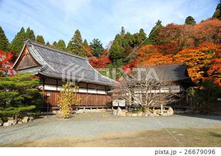 百済寺の紅葉 26679096