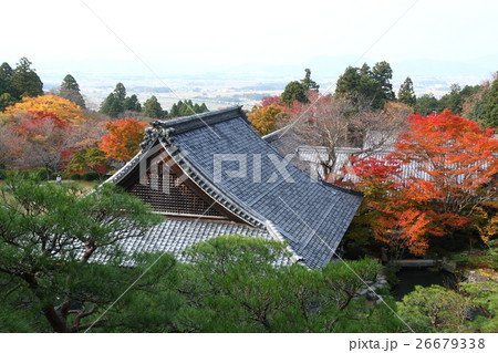 百済寺の紅葉 26679338