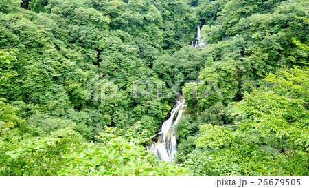 日光の霧降滝 26679505