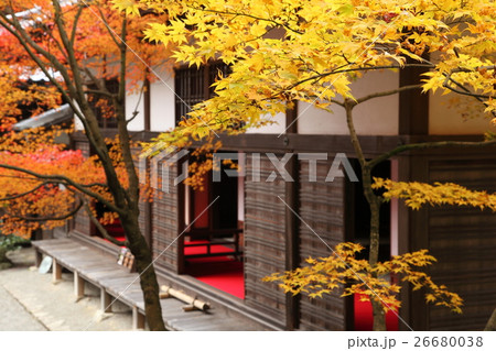 金剛輪寺の紅葉 26680038