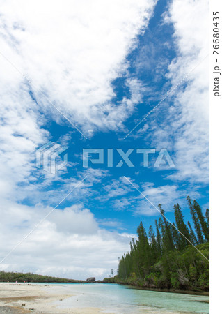 ピッシンヌ・ナチュレル(ニューカレドニア イル・デ・パン ) ピッシンヌ・ナチュレル(ニューカレドニア イル・デ・パン ) 26680435