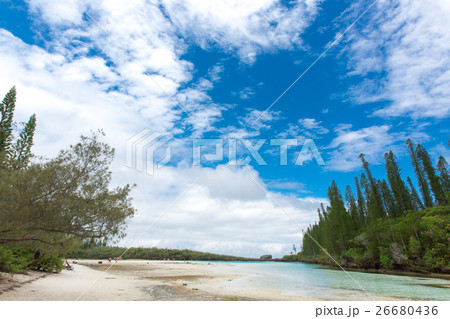 ピッシンヌ・ナチュレル(ニューカレドニア イル・デ・パン ) ピッシンヌ・ナチュレル(ニューカレドニア イル・デ・パン ) 26680436