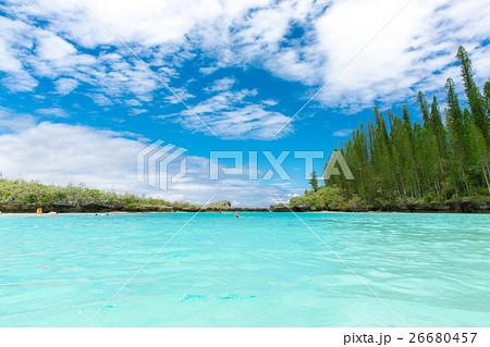 ピッシンヌ・ナチュレル(ニューカレドニア イル・デ・パン ) ピッシンヌ・ナチュレル(ニューカレドニア イル・デ・パン ) 26680457