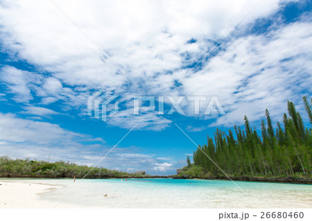 ピッシンヌ・ナチュレル(ニューカレドニア イル・デ・パン ) 26680460