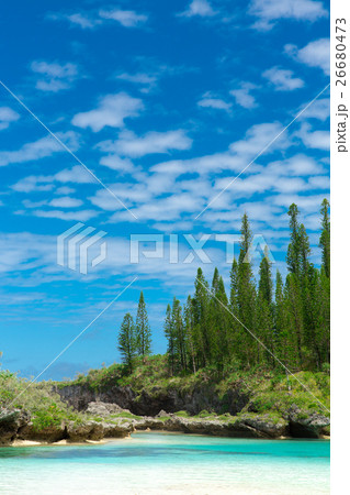 ピッシンヌ・ナチュレル(ニューカレドニア イル・デ・パン ) 26680473