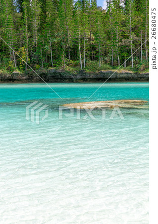 ピッシンヌ・ナチュレル(ニューカレドニア イル・デ・パン ) 26680475