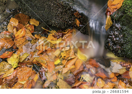 View of autumn waterfalls 26681594