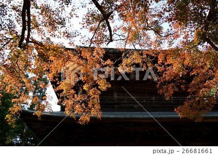 鎌倉古都の紅葉 26681661