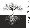 Apple tree without leaves with roots 26682517