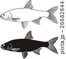 Asp, fish predator 26682644