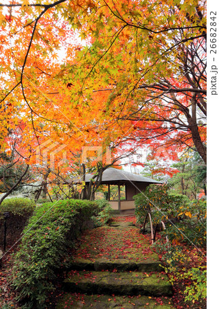 こしがや能楽堂、花田苑の紅葉（11月）埼玉県越谷市 26682842