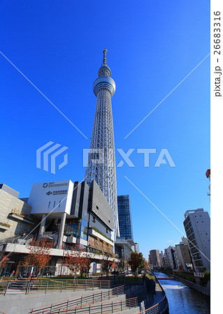 晴天下の東京スカイツリー 26683316