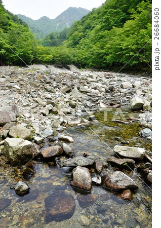 夏の西丹沢 用木沢 夏の西丹沢 用木沢 26684060
