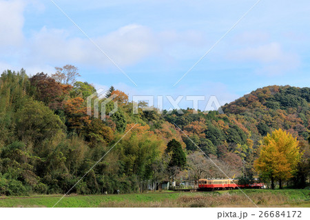 秋の小湊鉄道 26684172