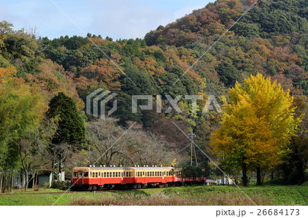 秋の小湊鉄道 26684173