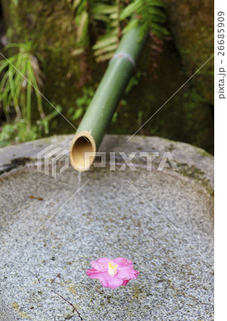 湧水と竹、臼、ヤブツバキ 26685909